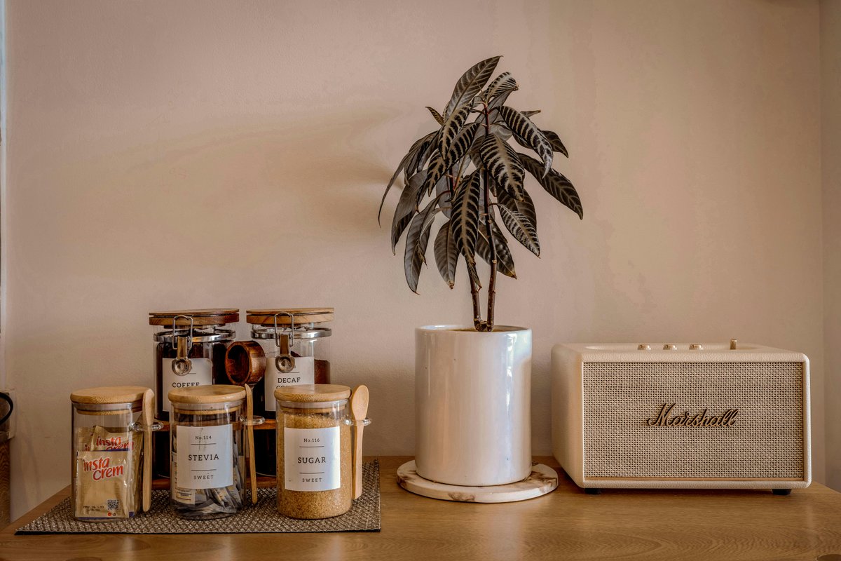 Boost Your Branson Airbnb Ranking in 2025 Boost Your Branson Airbnb Ranking in 2025