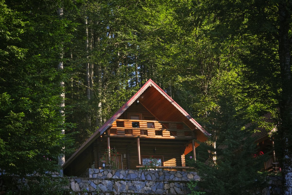 Maximize Revenue Year-Round in Branson Rentals