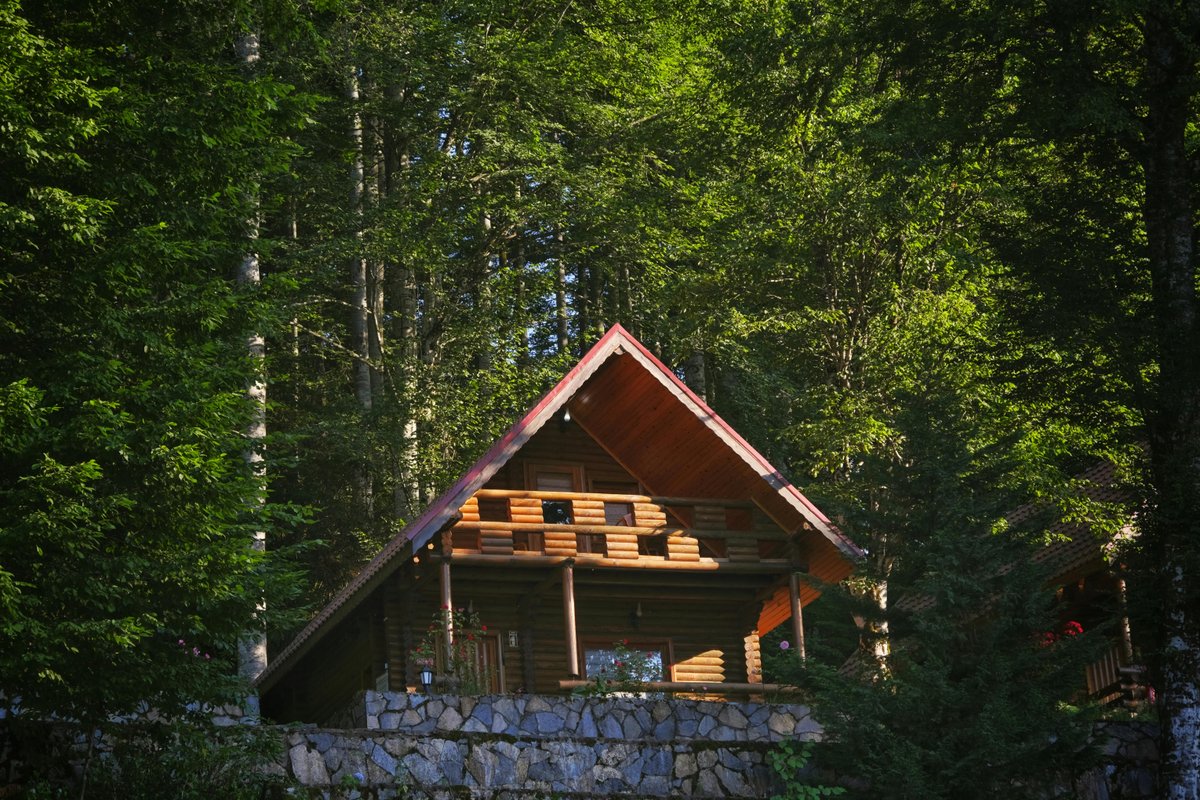 Stand Out in Branson's Rental Market